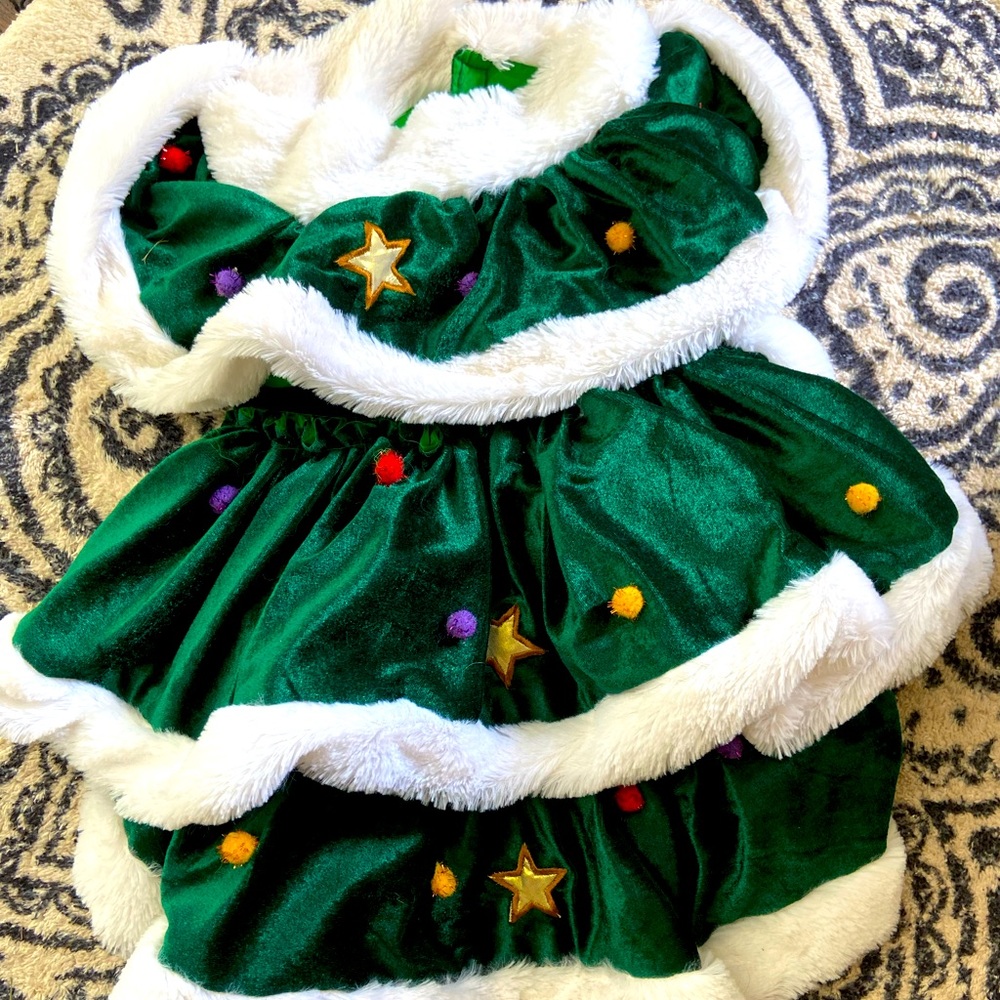 Xmas tree dog costume!!